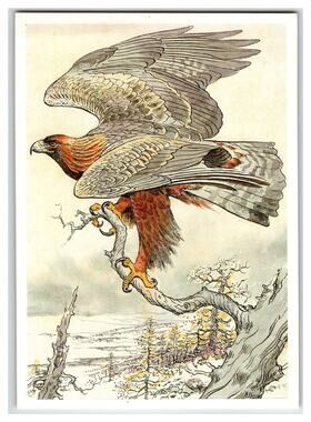 Vintage Russian Art Postcard Golden Eagle Aquila Chrysaetos Bird of Prey
